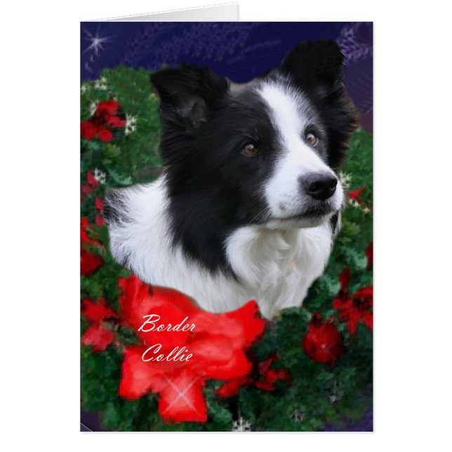Border Collie Christmas (Front)