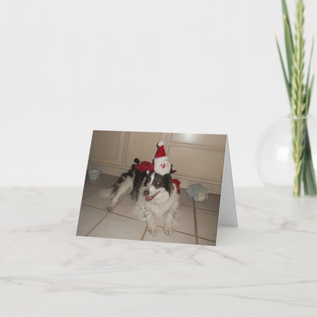 Border Collie Christmas Card (Front)