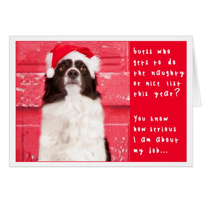 Border Collie Christmas Card (Front Horizontal)