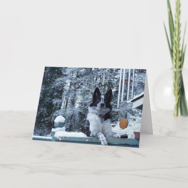 Border Collie Christmas Card (Front)