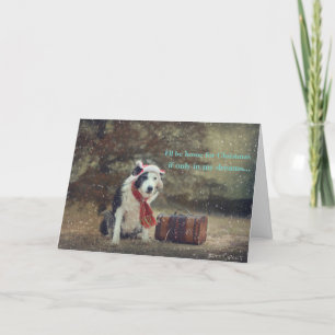 Border Collie Christmas card