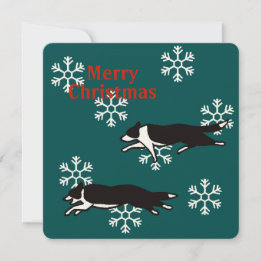 Border collie Christmas card カード