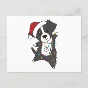 Border Collie Christmas Dog Winter Animals Dogs Postcard