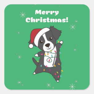 Border Collie Christmas Dog Winter Animals Dogs Sq Square Sticker