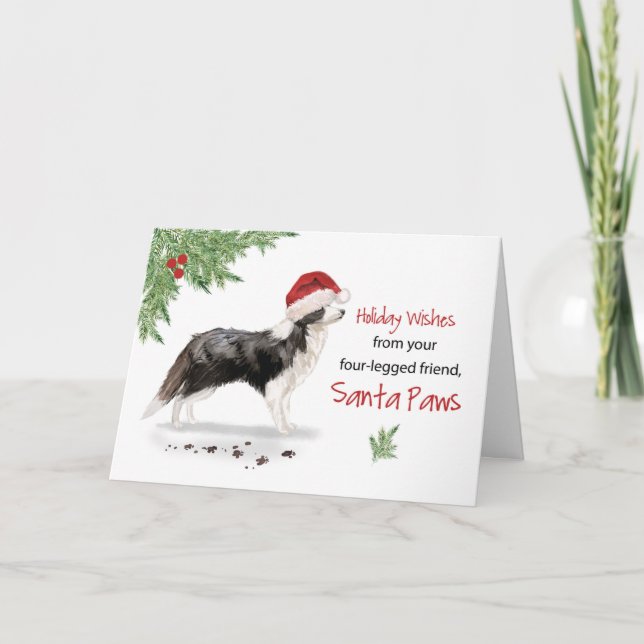 Border Collie Christmas From Dog in Funny Santa Card (Front)