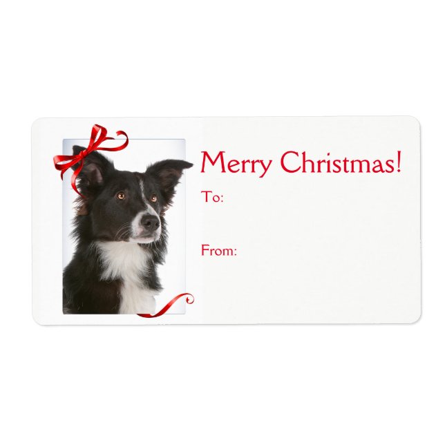 Border Collie Christmas Gift Stickers (Front)