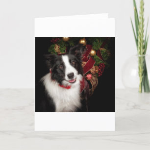 Border Collie Christmas Holiday Card
