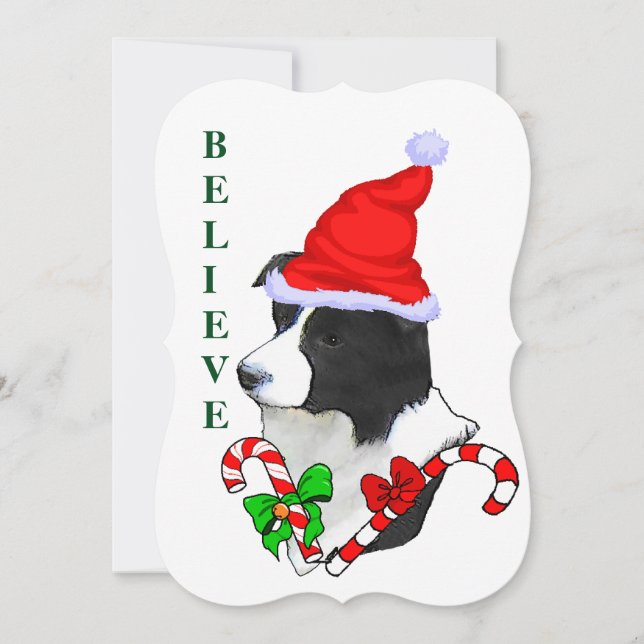 Border Collie Christmas Holiday Card (Front)