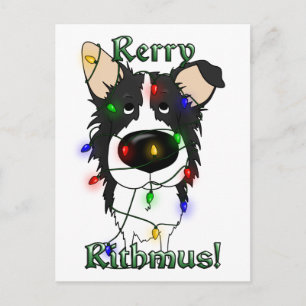 Border Collie Christmas Lights Holiday Postcard