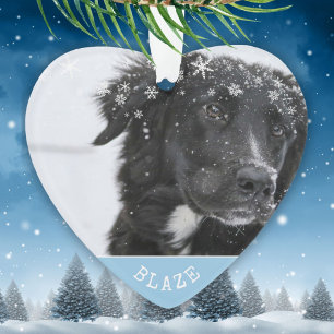 Border Collie Christmas Personalised Pet Photo Ornament