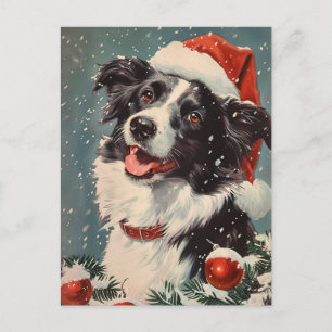 Border Collie Christmas Postcard