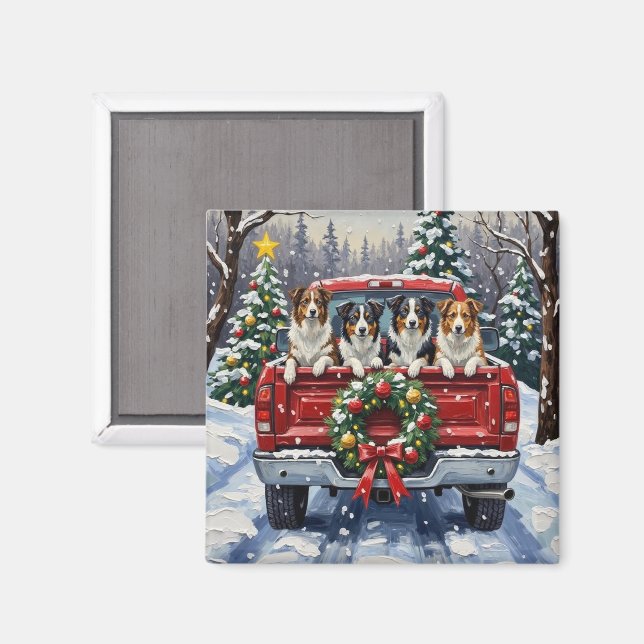 Border Collie Christmas Red Truck Holiday Magnet (Front/Back)