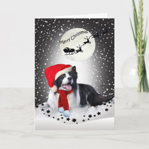 Border Collie Christmas Sharing Holiday Card