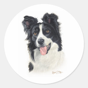 Border Collie Classic Round Sticker
