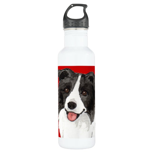 Border Collie Colour Block 710 Ml Water Bottle (Front)