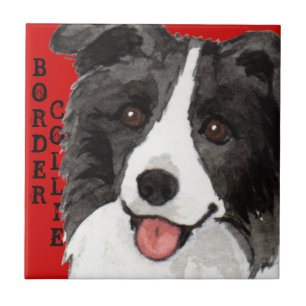 Border Collie Colour Block Tile