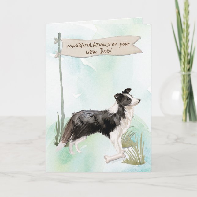 Border Collie Congratulations on New Dog Card (Front)