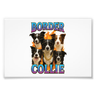 Border Collie Copy Photo Print