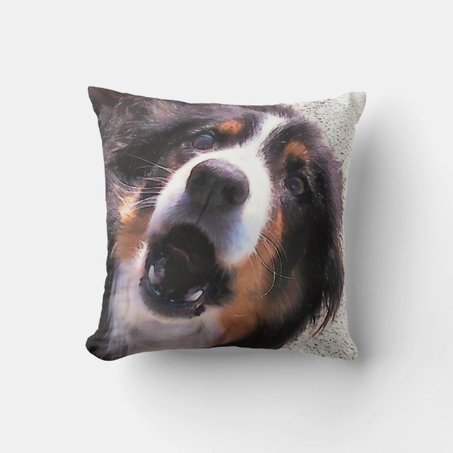 BORDER COLLIE CUSHION (Front)