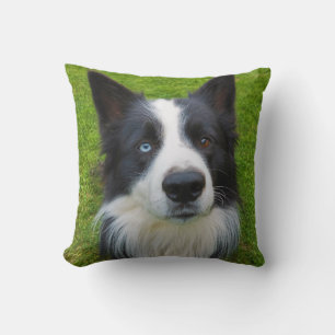 Border Collie Cushion