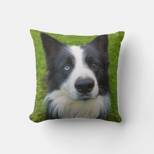Border Collie Cushion (Front)