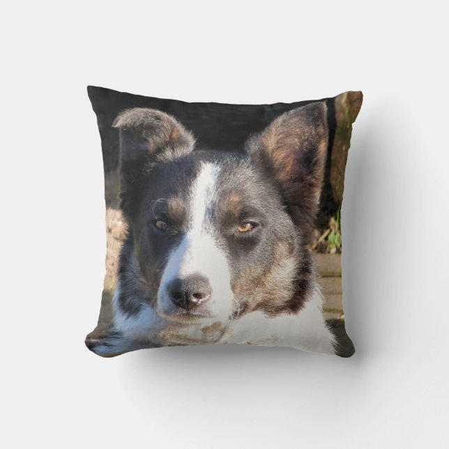 BORDER COLLIE CUSHION (Front)