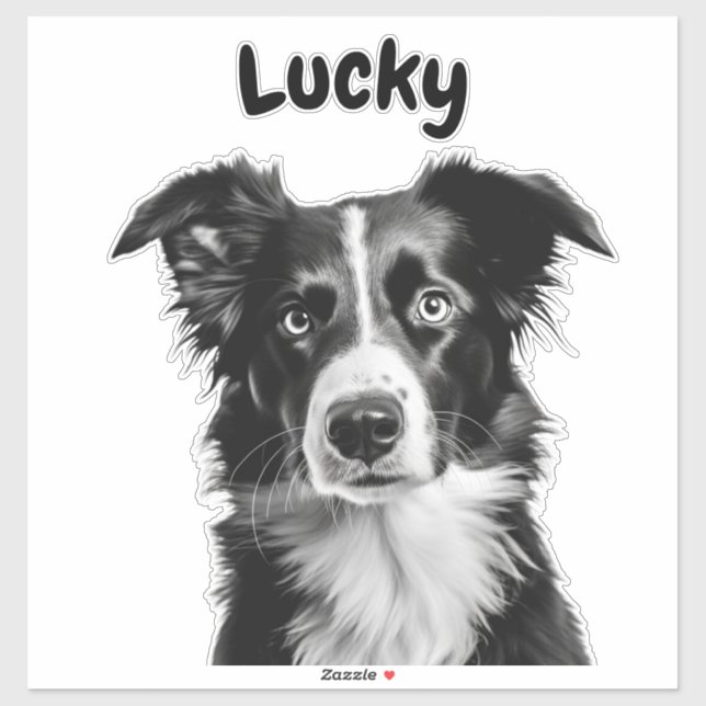 Border Collie Custom Name (Sheet)
