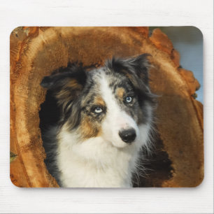 Border Collie cute dog portrait Mouse Pad