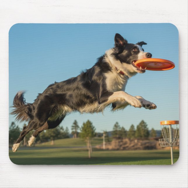 Border Collie Disc Golf Mousepad (Front)
