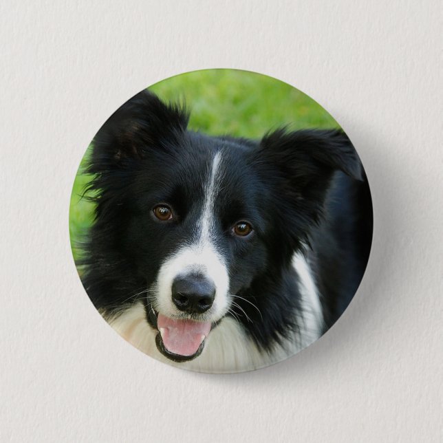 Border Collie Dog Add Text Pet 6 Cm Round Badge (Front)