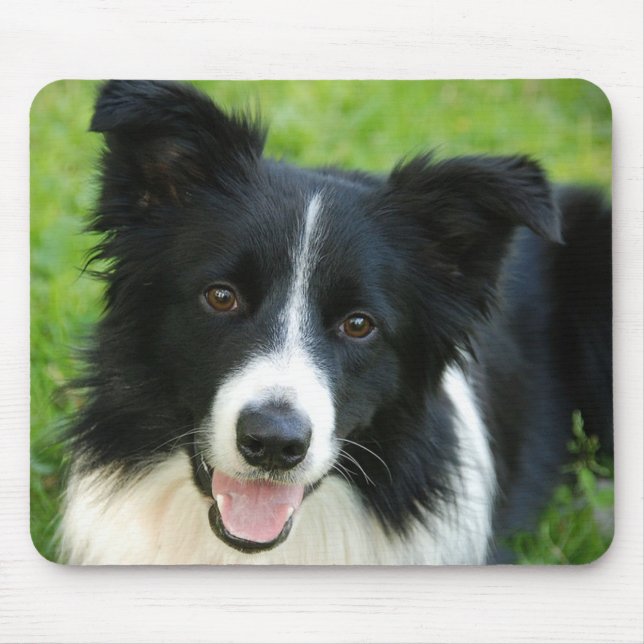 Border Collie Dog Add Text Pet Mouse Pad (Front)