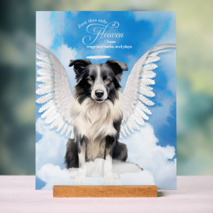 Border Collie Dog Angel with Name Pet Memorial Acrylic Sign
