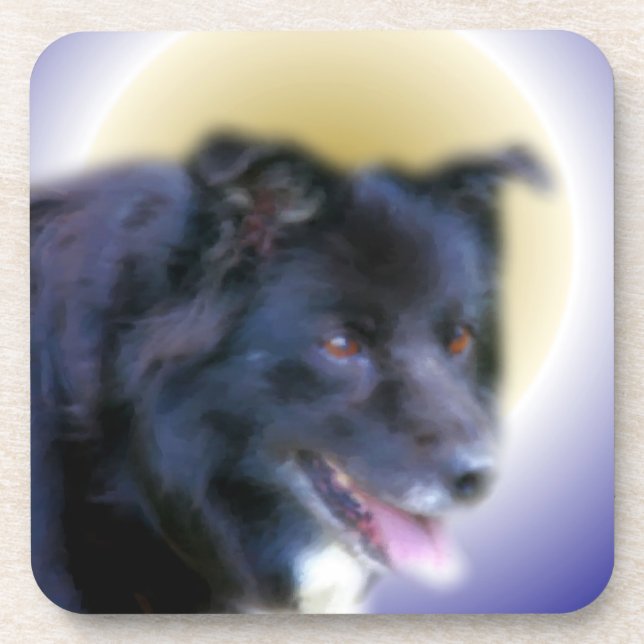 Border Collie Dog Art Coaster (Front)