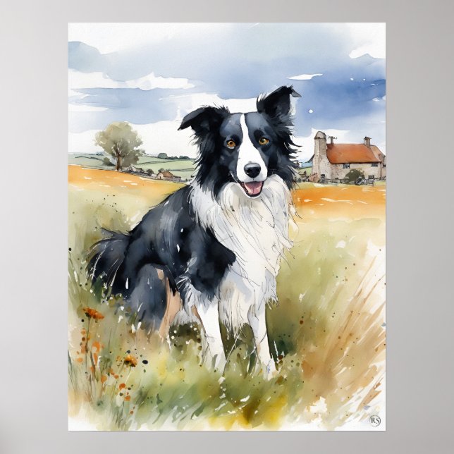 Border Collie - Dog Art Print (Front)