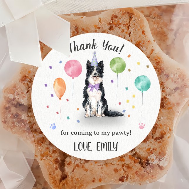 Border Collie Dog Birthday Thank You Classic Round Sticker (Creator Uploaded)