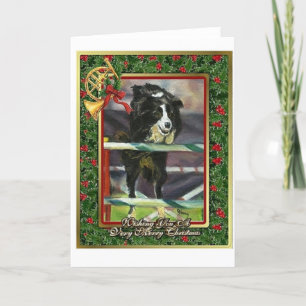 Border Collie Dog Blank Christmas Card