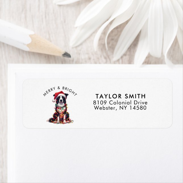 Border Collie Dog Christmas Return Address Label (Insitu)