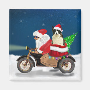 Border Collie Dog Christmas Santa Claus  Magnet