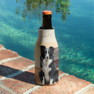 Border Collie Dog Country Western Red Barn Bottle Cooler