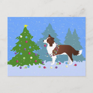 Border Collie Dog Decorating Christmas Tree Holiday Postcard