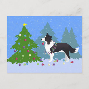 Border Collie Dog Decorating Christmas Tree Holiday Postcard