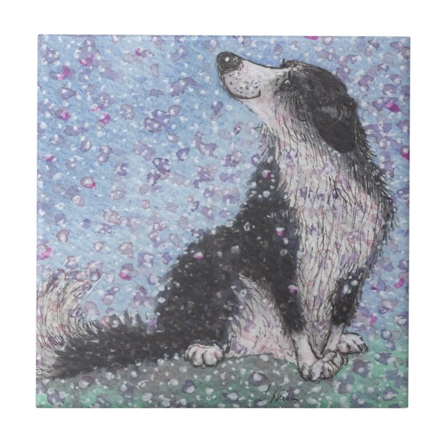 Border Collie Dog, Dreaming of Blossom Time Ceramic Tile (Front)