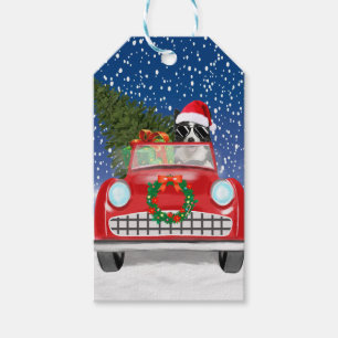 Border Collie Dog Driving Car In Snow Christmas Gift Tags