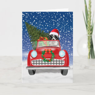 Border Collie Dog Driving Car In Snow Christmas Program