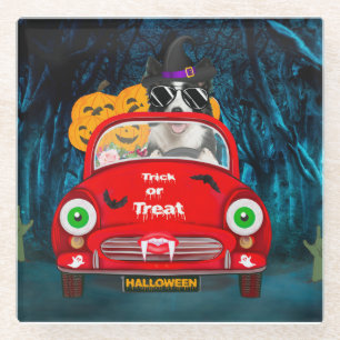 Border Collie Dog Driving Car Scary Halloween Glass Coaster