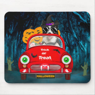 Border Collie Dog Driving Car Scary Halloween Mouse Pad