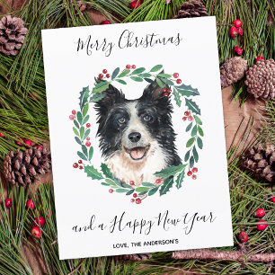 Border Collie Dog Elegant Merry Christmas Holiday Postcard
