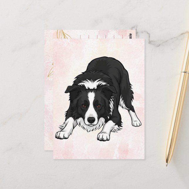 Border Collie Dog Greeting Card (Front/Back In Situ)