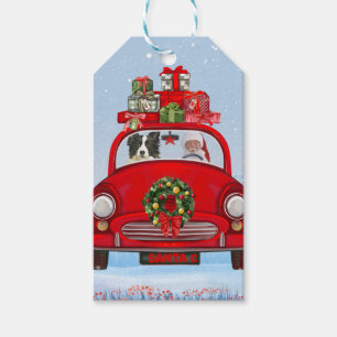 Border Collie Dog In Car With Santa Claus Gift Tags