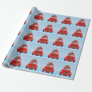 Border Collie Dog In Car With Santa Claus   Wrapping Paper